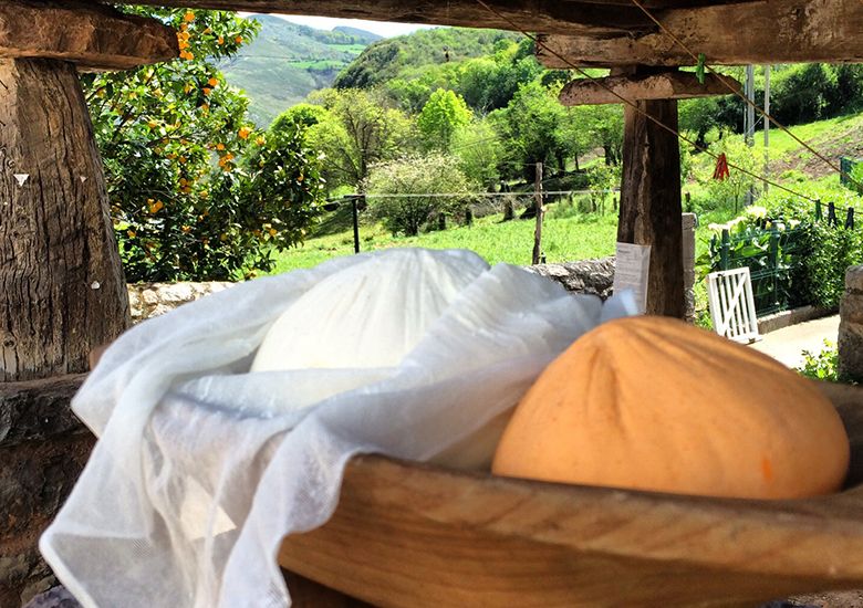 Los quesos de Asturies: territorio, técnica y biodiversidad en estado puro
