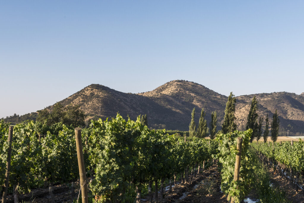paisajes de montaña y de valle otro de los atractivos de las rutas enológicas de chile