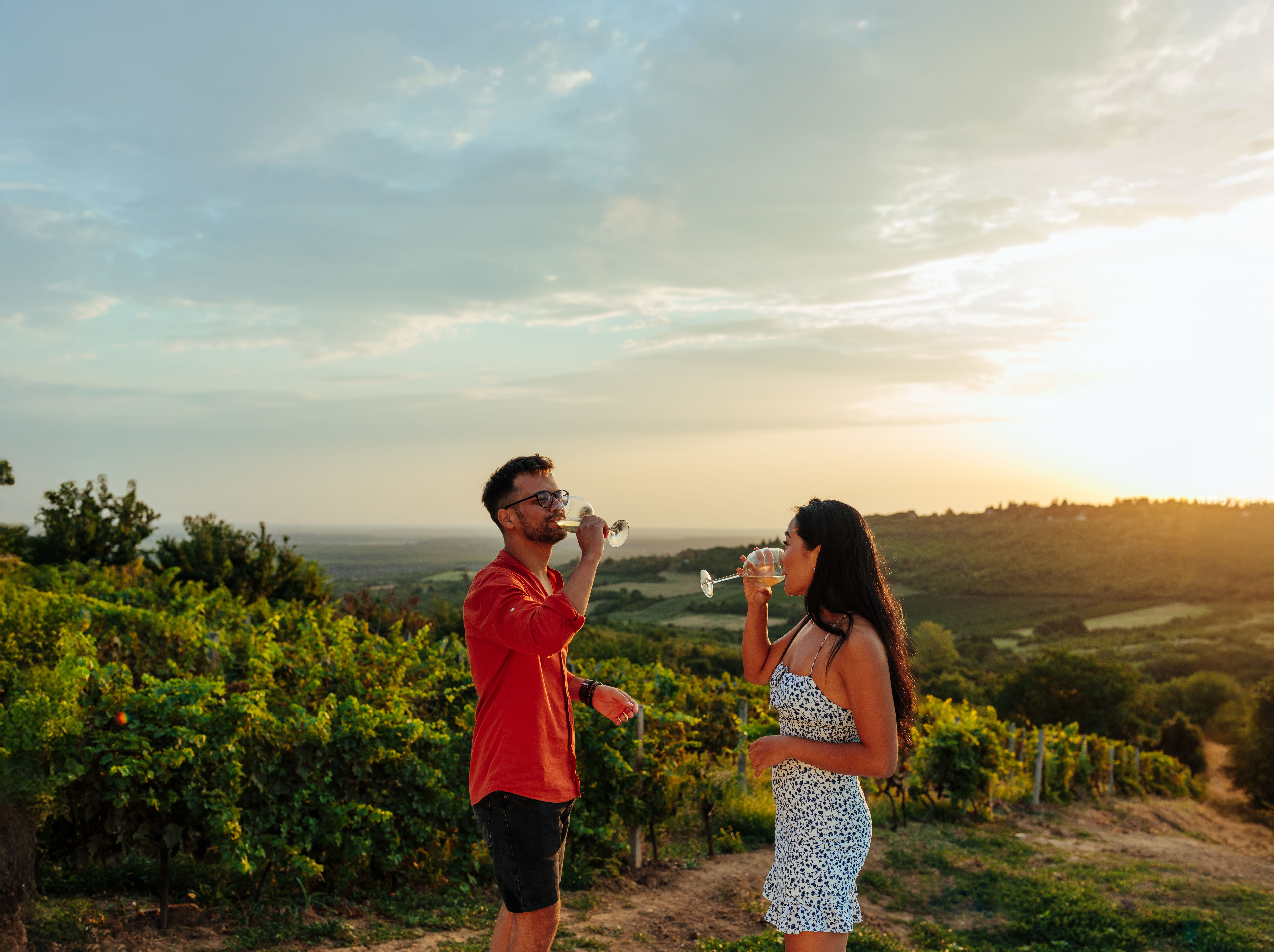 De los Andes al Pacífico: Ruta enológica para beberse Chile