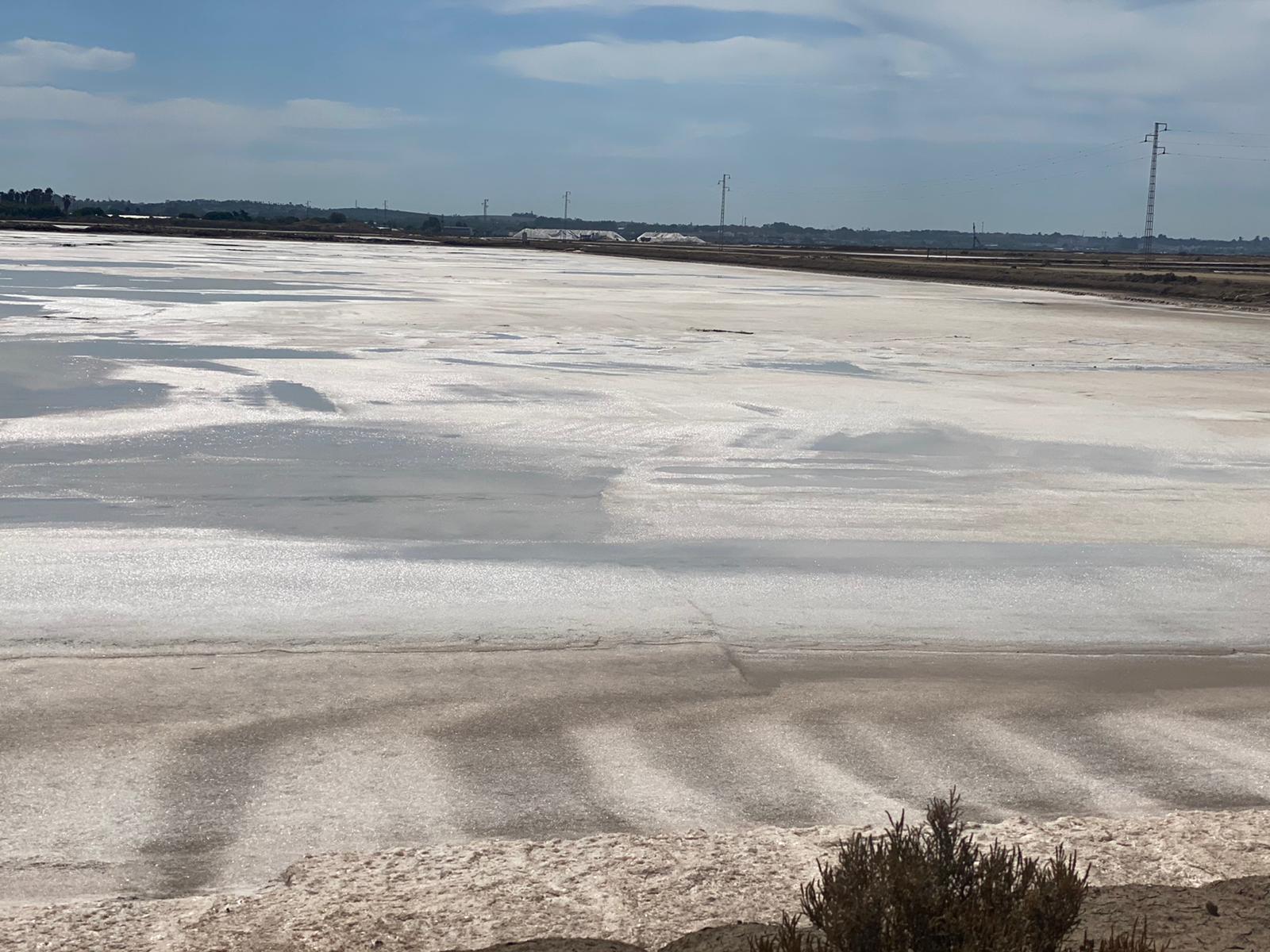mar de sal en las salinas de Sanlúcar de Barrameda en el Parque de Doñana