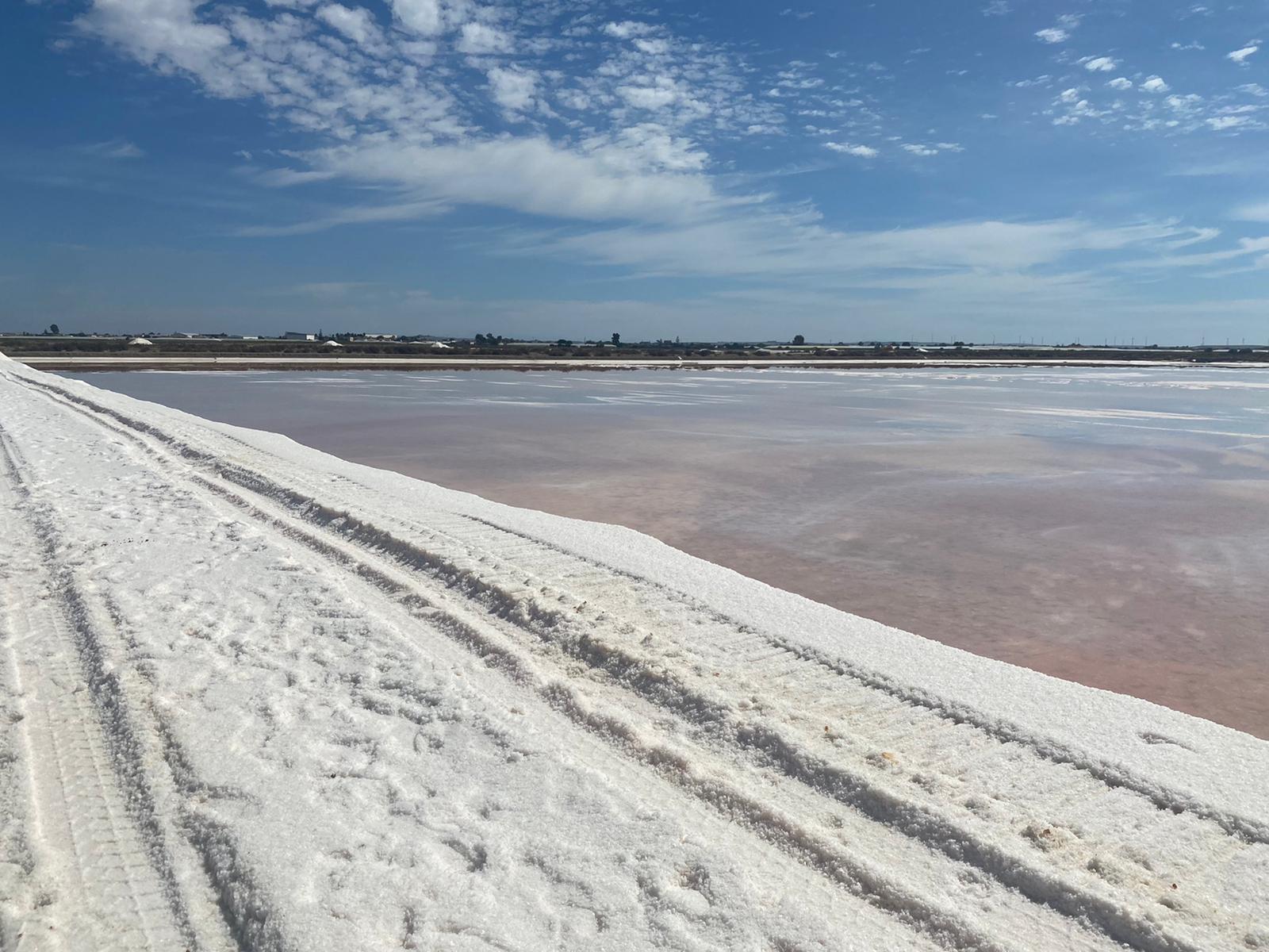 Vista de las salinas de Sanlúcar de Barrameda en el parque nacional de Doñana