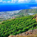 Aula de Formación Tacoronte-Acentejo 2026