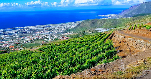 Aula de Formación Tacoronte-Acentejo 2026