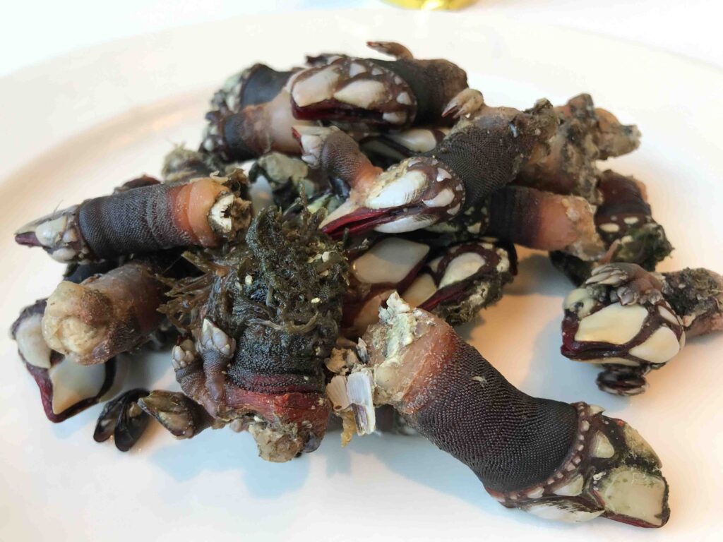percebes en el restaurante auga estrella michelin de xixon